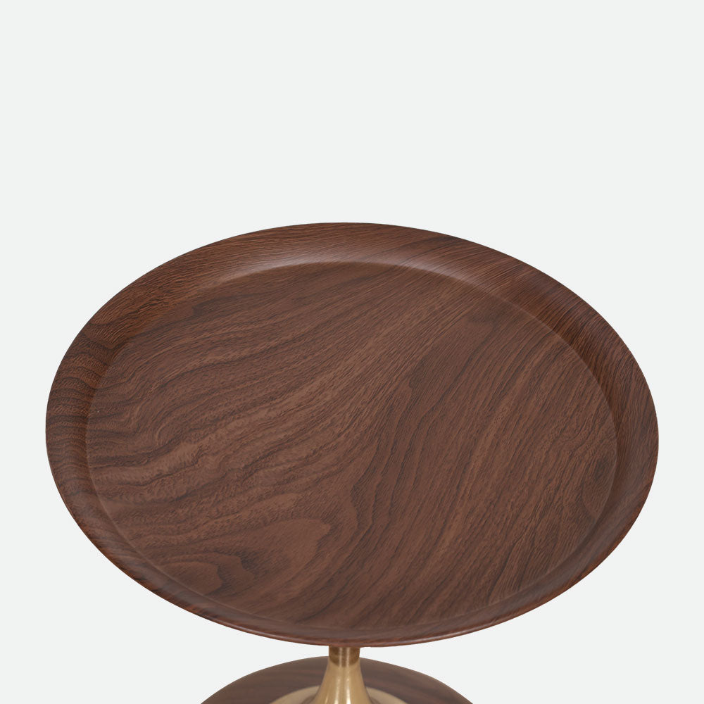 MAARK WOODEN FINISH COFFEE TABLE 314 HT