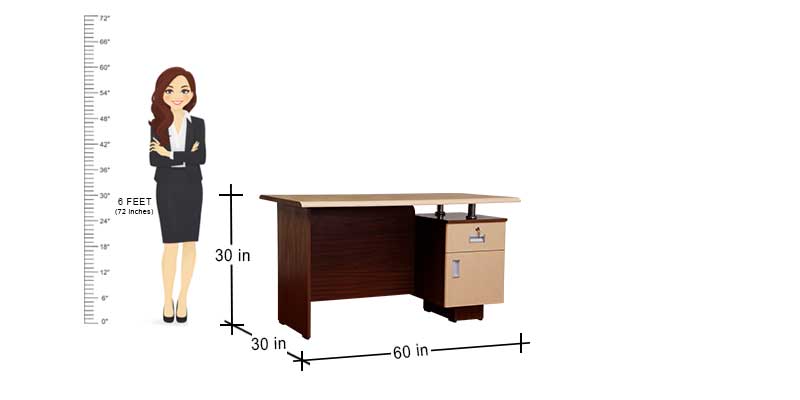 MAARK OFFICE TABLE 4.5 * 2.5 DUCKNOSE