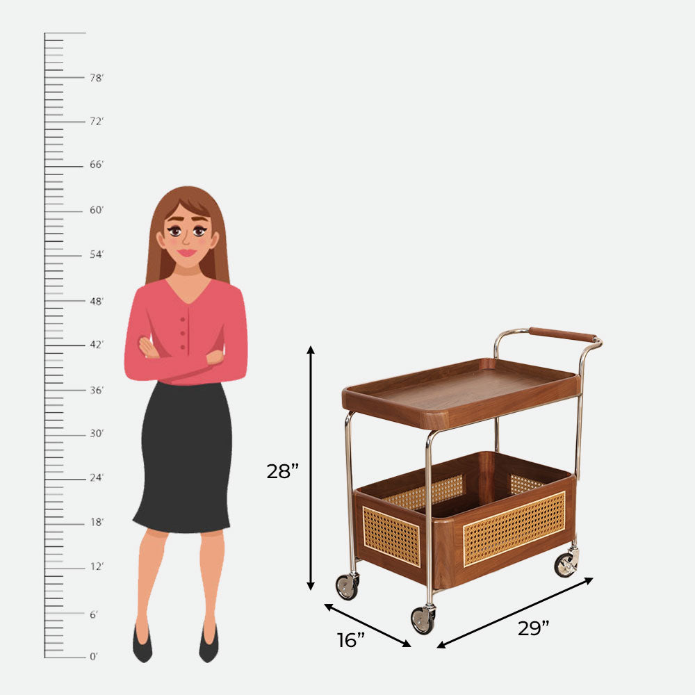 MAARK TROLLY 319 HT