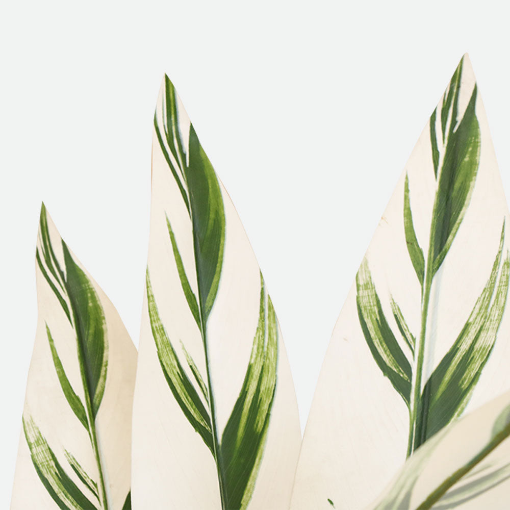 MAARK ARTIFICIAL PLANT