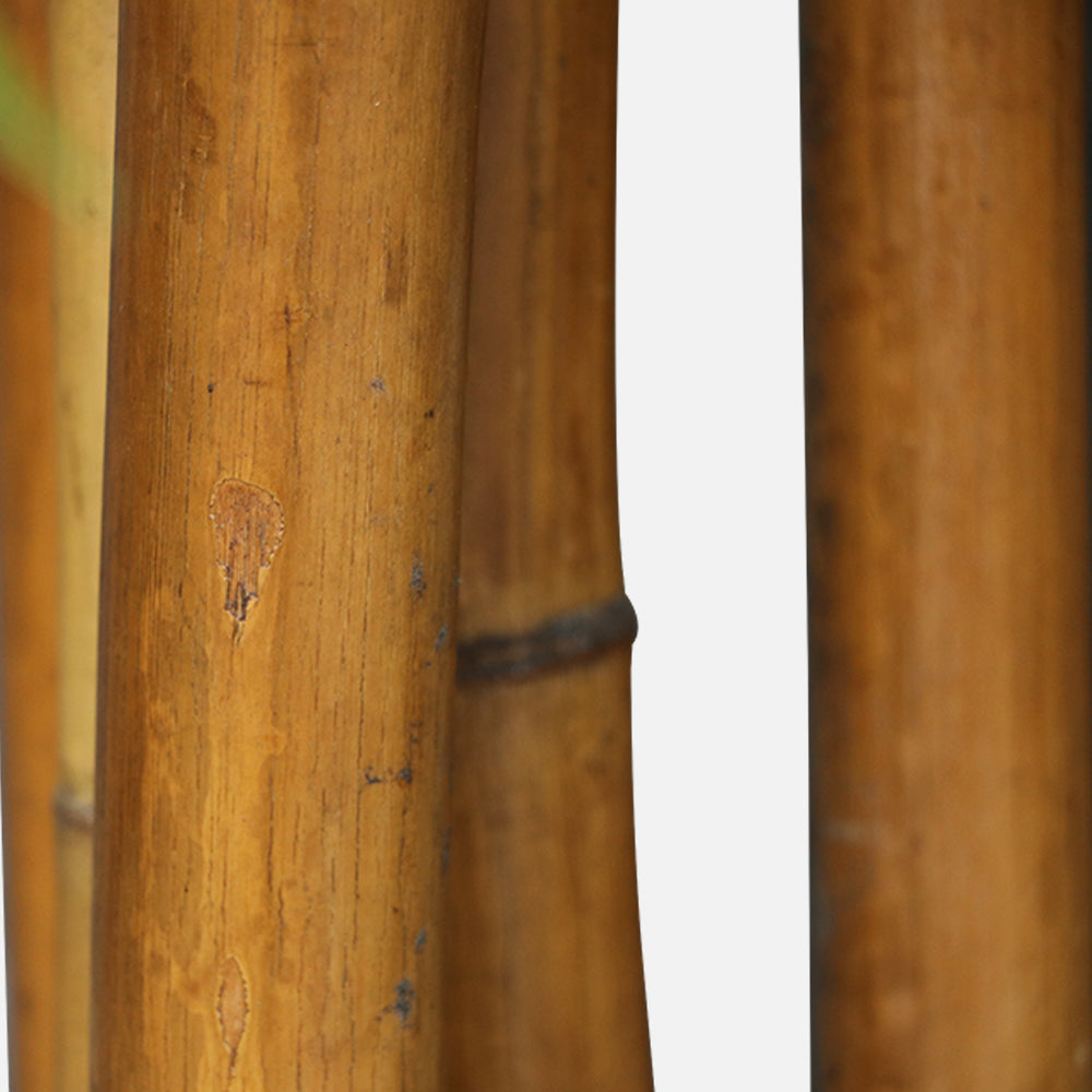 MAARK ARTIFICIAL PLANT