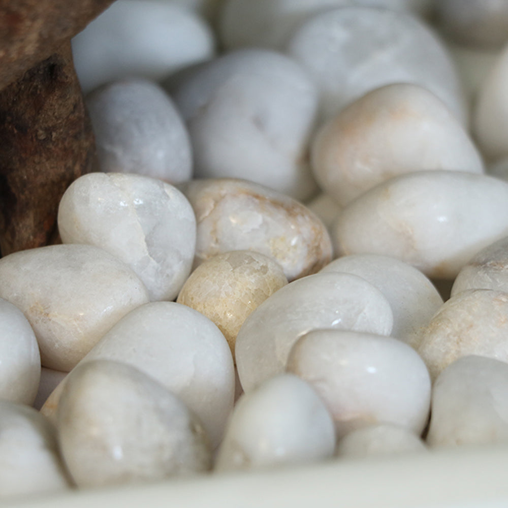 MAARK ARTIFICIAL PLANT