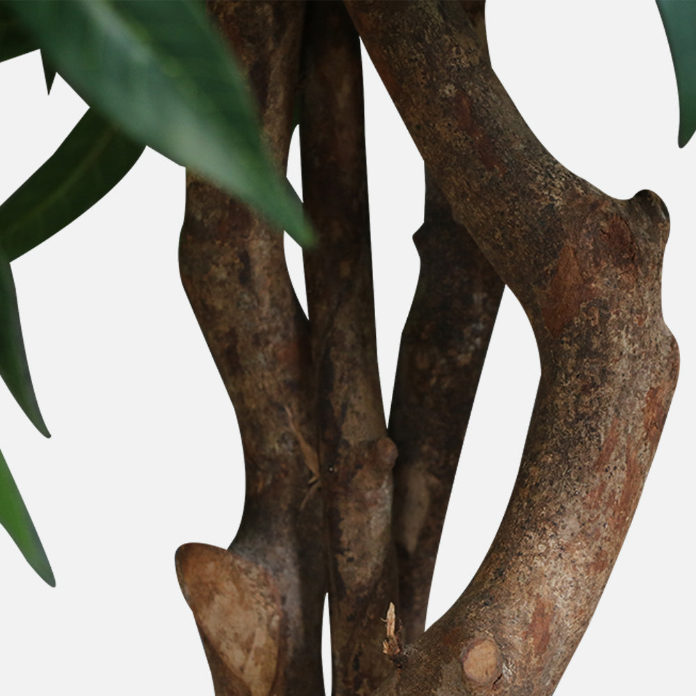 MAARK ARTIFICIAL PLANT