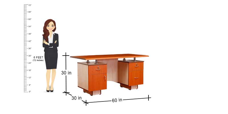 MAARK OFFICE TABLE 5 * 2.5  DUCKNOSE