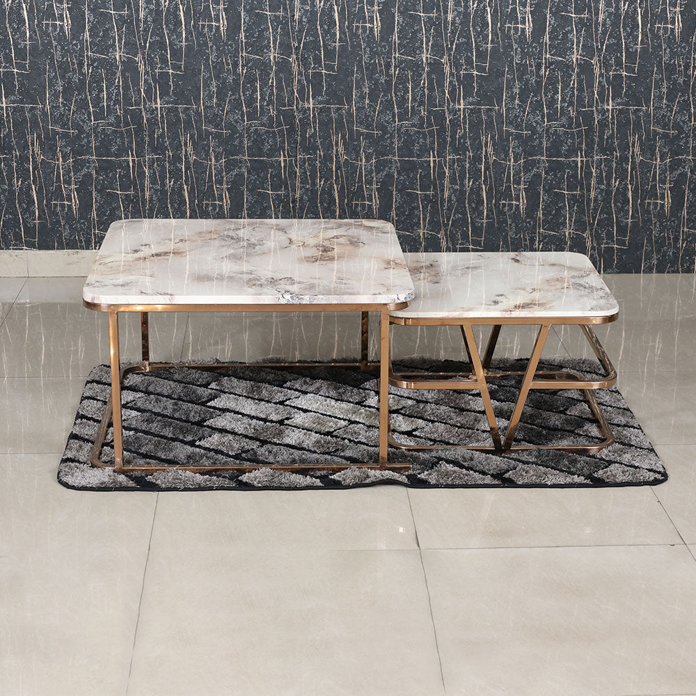 MAARK MARBLE TOP COFFEE TABLE SET CTM-CT33 HT