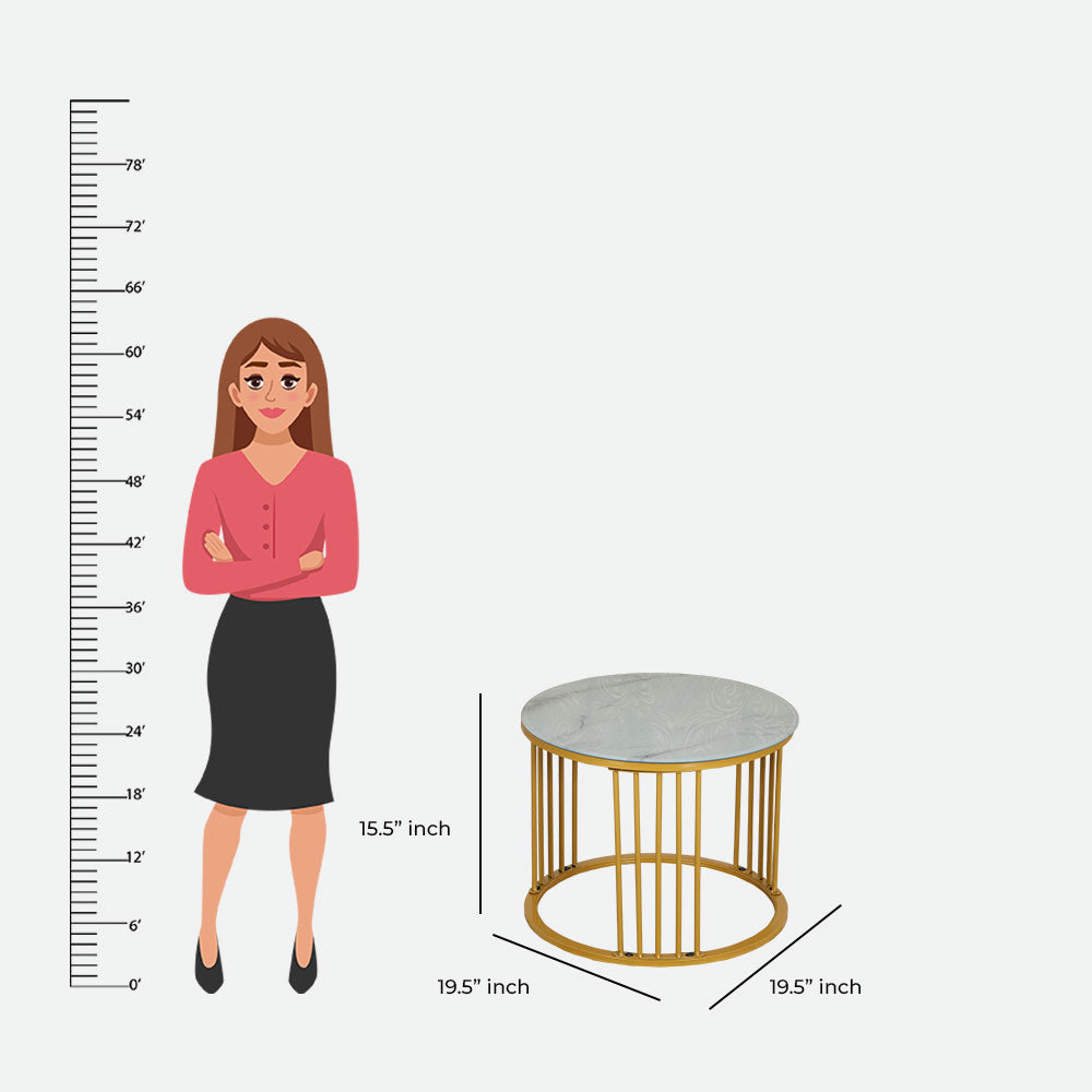 MAARK MARBLE TOP COFFEE TABLE SET BLC-20 HT