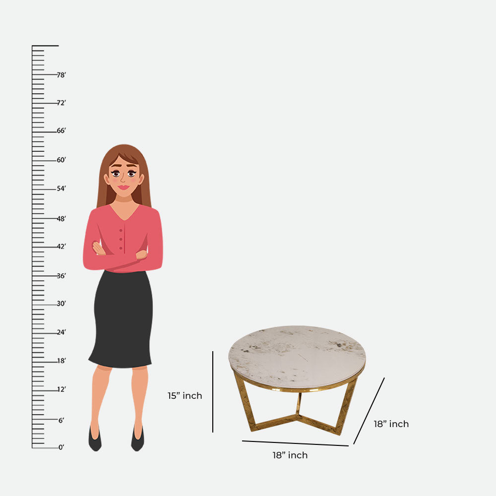 MAARK MARBLE TOP COFFEE TABLE SET CJ-05 HT