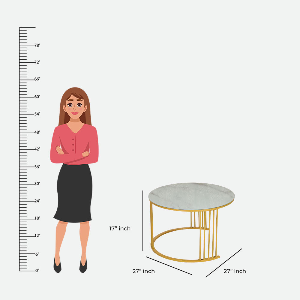 MAARK MARBLE TOP COFFEE TABLE SET BLC-20 HT