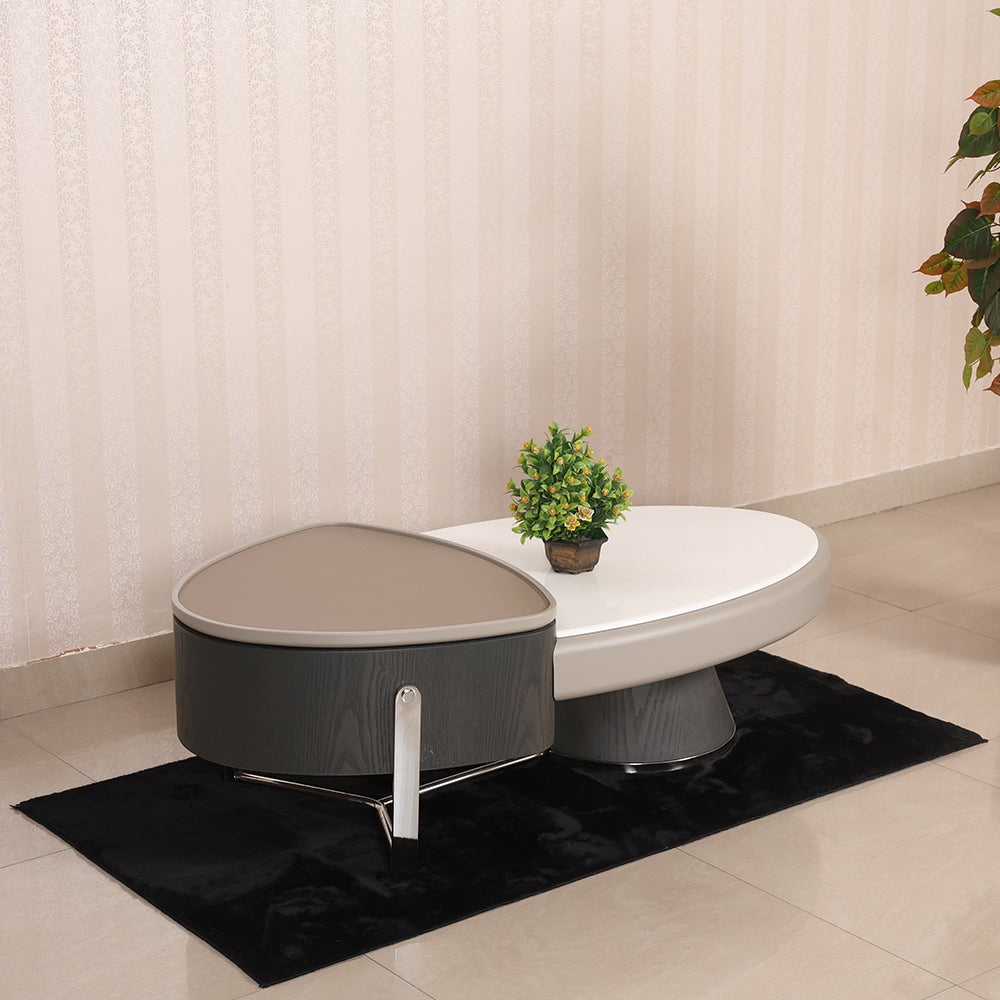MAARK MARBLE TOP COFFEE TABLE 2469 HT